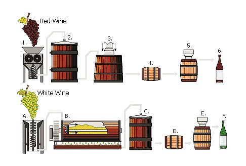 wine-producing